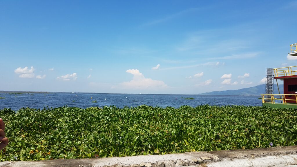 Lake Buluan6