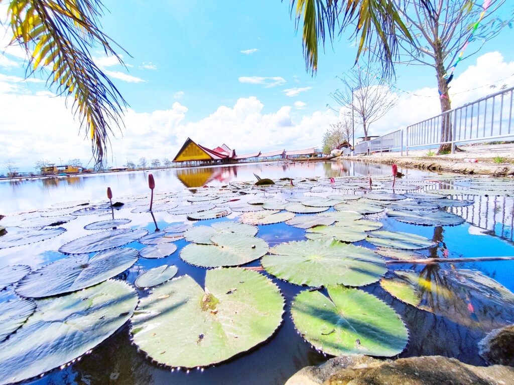 Lake Buluan7
