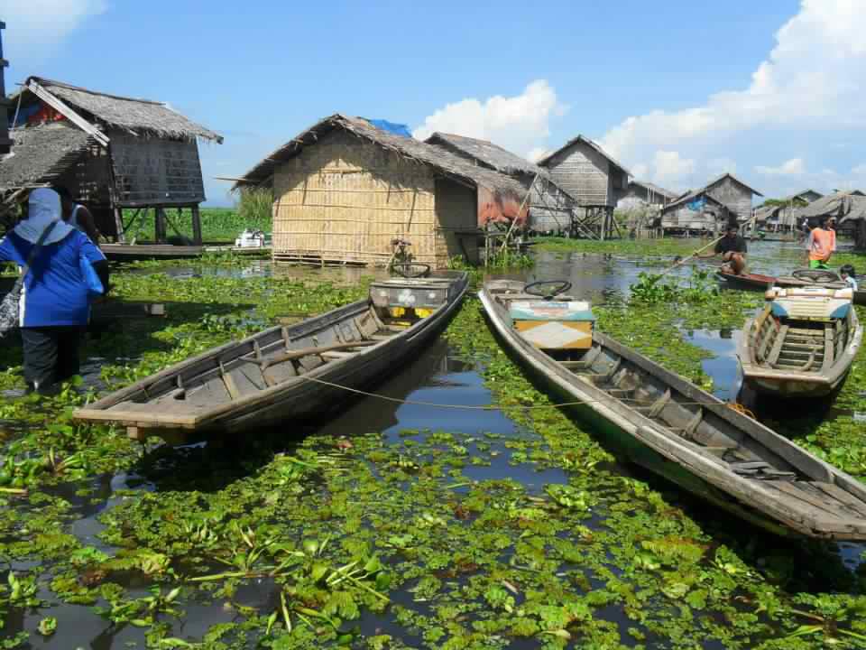 Liguasan Marsh
