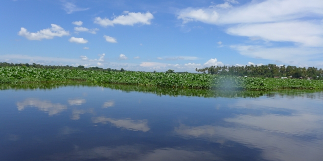 Liguasan Marsh3
