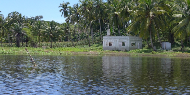 Liguasan Marsh4