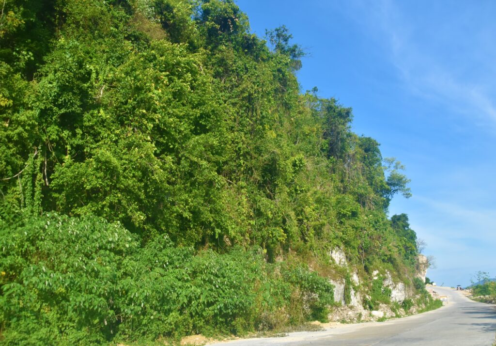 Timako Hill 3