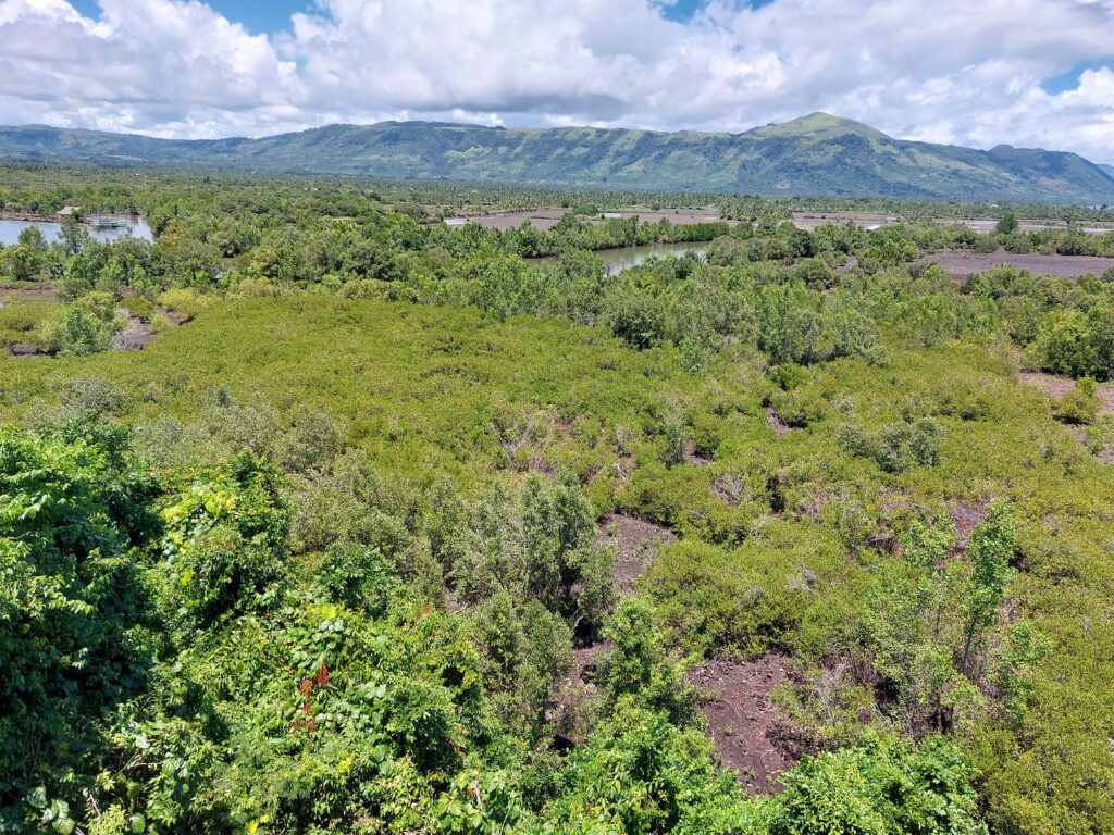 Timako Hill 4