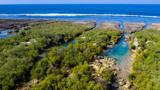 immuki-island-11