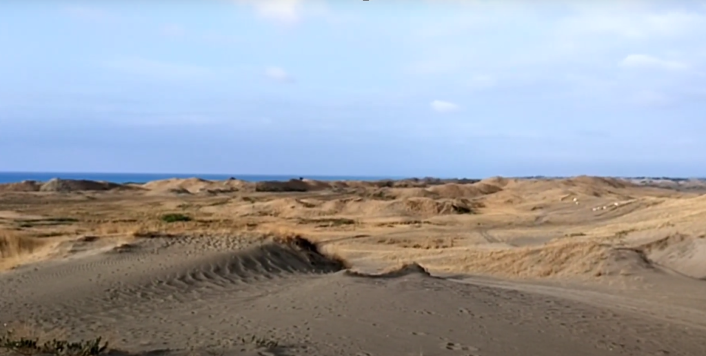sanddunes13