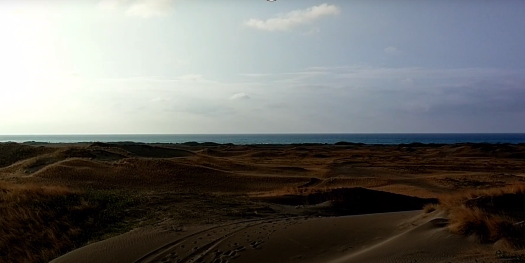 sanddunes14