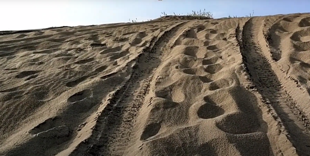 sanddunes5
