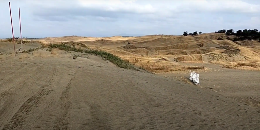 sanddunes7
