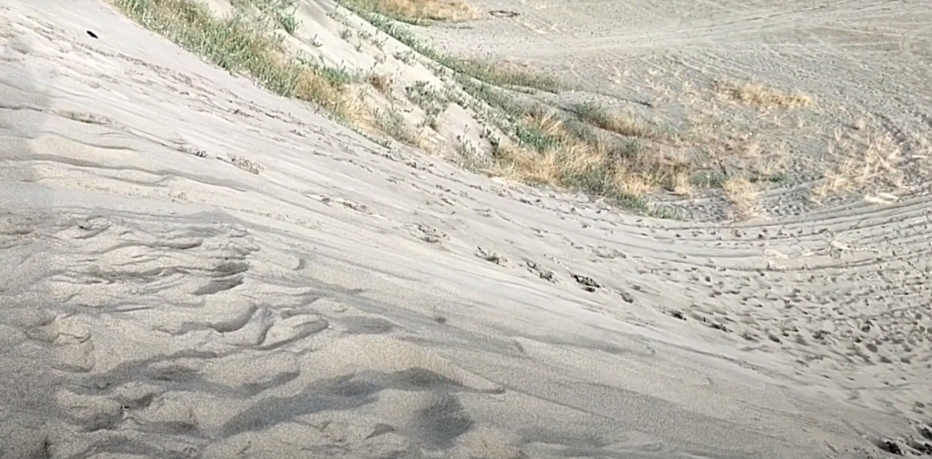 sanddunes9