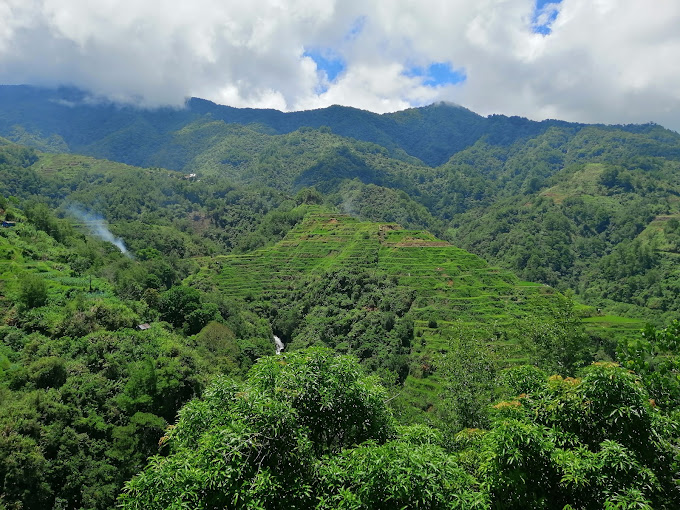 Banaue Rice Terraces
