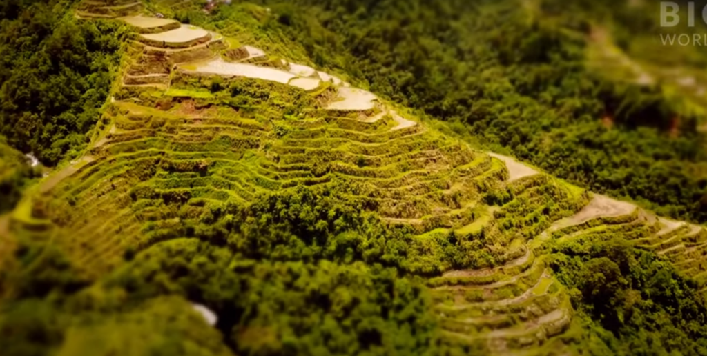 Banaue Rice Terraces10