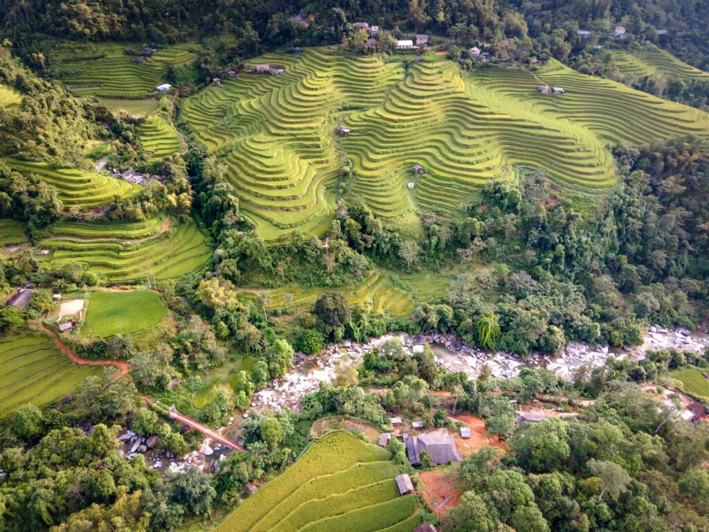 Banaue Rice Terraces2
