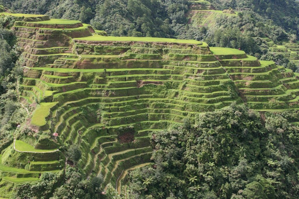 Banaue Rice Terraces3