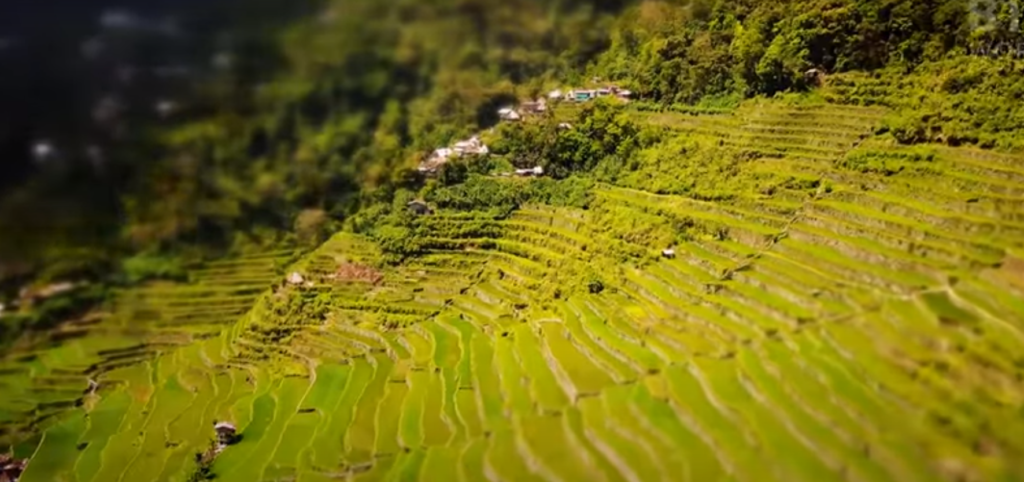 Banaue Rice Terraces4