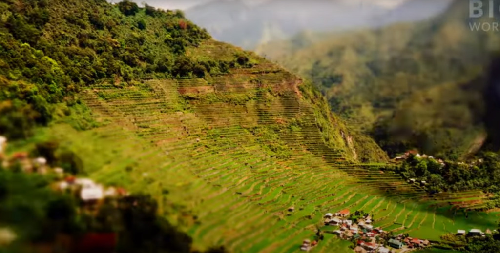 Banaue Rice Terraces5