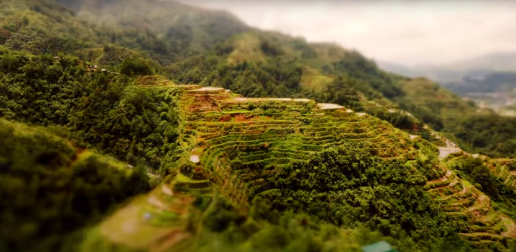 Banaue Rice Terraces9