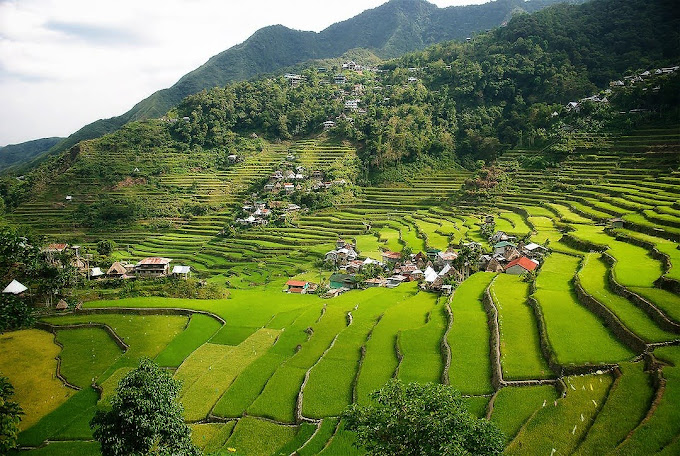 Batad Rice Terraces