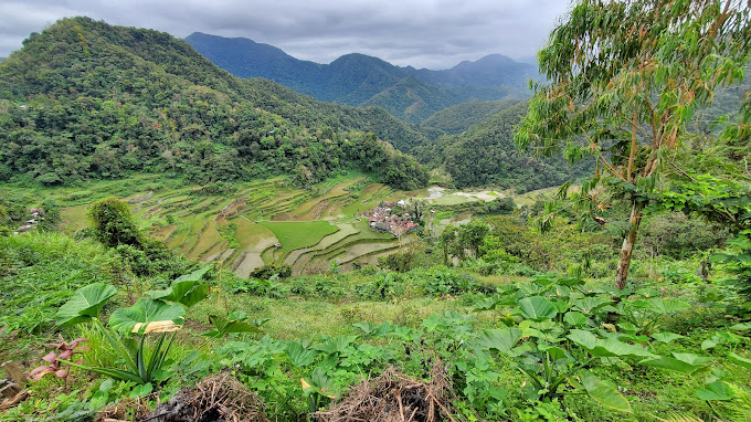 Batad Rice Terraces3