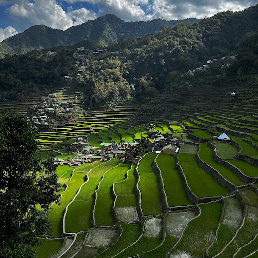 Batad Rice Terraces4