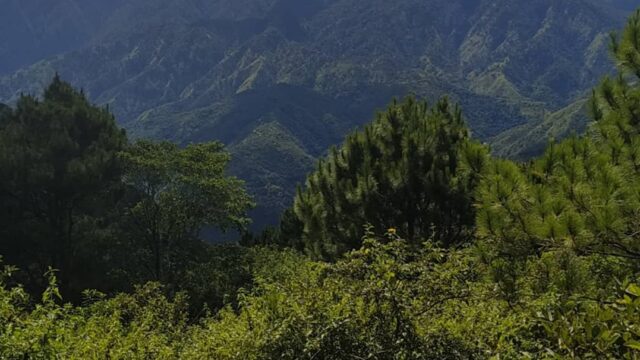 Mount Ugo12